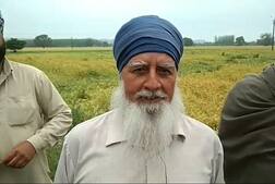 ਪੰਜਾਬ-ਹਰਿਆਣਾ 'ਚ ਮੀਂਹ-ਝੱਖੜ ਨੇ ਝੰਬੇ ਕਿਸਾਨ, ਕਣਕ-ਸਰ੍ਹੋਂ ਦਾ ਵੱਡਾ ਨੁਕਸਾਨ