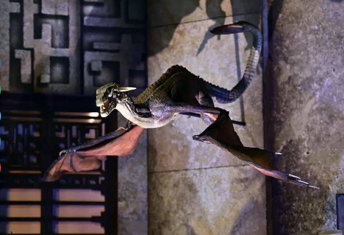 ਇੱਥੇ ਤੁਸੀਂ ਪ੍ਰੌਪਸ ਨੂੰ ਵੀ ਦੇਖ ਸਕਦੇ ਹੋ। ਐਗਜ਼ੀਬੀਸ਼ਨ ਦੀ ਕੁਝ ਹੋਰ ਤਸਵੀਰਾਂ ਤੁਸੀਂ ਹੇਠ ਵੇਖ ਸਕਦੇ ਹੋ।