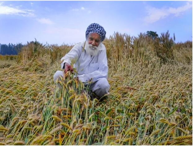 ਤੇਜ਼ ਹਨੇਰੀ ਅਤੇ ਬਾਰਸ਼ ਨੇ ਲਈ 35 ਦੀ ਜਾਨ, ਕਿਸਾਨਾਂ ਲਈ ਆਫਤ