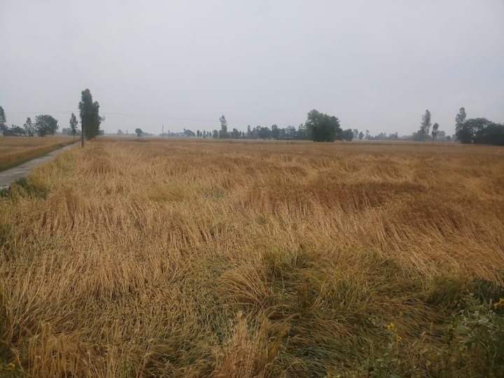 ਇਸ ਨਾਲ ਆਵਾਜਾਈ 'ਤੇ ਵੀ ਅਸਰ ਪਿਆ ਤੇ ਬਿਜਲੀ ਵੀ ਪ੍ਰਭਾਵਿਤ ਰਹੀ। ਫਾਜ਼ਿਲਕਾ ਵਿੱਚ ਤਾਂ ਹਨ੍ਹੇਰੀ ਨਾਲ 2 ਜਣਿਆਂ ਦੀ ਮੌਤ ਹੋ ਚੁੱਕੀ ਹੈ। 
