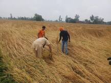 60 ਦੀ ਰਫ਼ਤਾਰ ਨਾਲ ਆਏ ਤੂਫ਼ਾਨ ਨੇ ਝੰਬਿਆ ਪੰਜਾਬ, ਦੋ ਮੌਤਾਂ