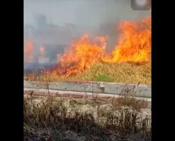 ਬਾਰਸ਼ ਮਗਰੋਂ ਅੱਗ ਦੀ ਮਾਰ, 100 ਏਕੜ ਕਣਕ ਸੜ ਕੇ ਸੁਆਹ