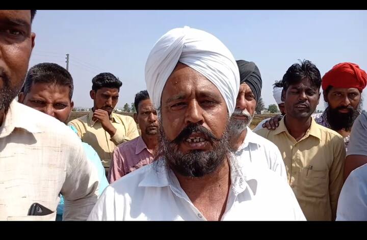 ਇਨ੍ਹਾਂ ਕਿਸਾਨਾਂ ਨੇ ਇਸੇ ਕਣਕ ਤੋਂ ਕਮਾਈ ਕਰਨ ਸੀ ਪਰ ਕਣਕ ਸੜਨ ਕਰਕੇ ਕਿਸਾਨਾਂ ਦੇ ਸਿਰ ਮੁਸੀਬਤ ਆ ਪਈ ਹੈ। 