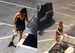 ਔਰਤ ਨੇ 7 ਕਤੂਰੇ ਕੂੜੇਦਾਨ 'ਚ ਸੁੱਟੇ, ਵੀਡੀਓ ਵਾਇਰਲ