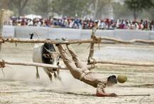 ਸਾਬਕਾ ਮੁੱਖ ਮੰਤਰੀਆਂ ਦੀ ਰੈਲੀ \'ਚ ਸਾਨ੍ਹ ਨੇ ਪਾਇਆ ਭੜਥੂ, ਦੇਖੋ ਕਮਾਲ ਦੀਆਂ ਤਸਵੀਰਾਂ