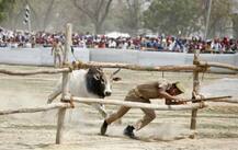 ਸਾਬਕਾ ਮੁੱਖ ਮੰਤਰੀਆਂ ਦੀ ਰੈਲੀ \'ਚ ਸਾਨ੍ਹ ਨੇ ਪਾਇਆ ਭੜਥੂ, ਦੇਖੋ ਕਮਾਲ ਦੀਆਂ ਤਸਵੀਰਾਂ