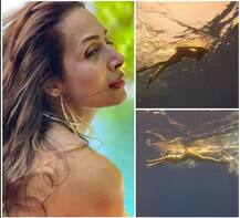 ਮਲਾਇਕਾ ਨੇ ਪਾਣੀ \'ਚ ਕਰਵਾਇਆ ਸਭ ਤੋਂ ਵੱਖਰਾ ਫ਼ੋਟੋਸ਼ੂਟ, ਤਸਵੀਰਾਂ ਵਾਇਰਲ