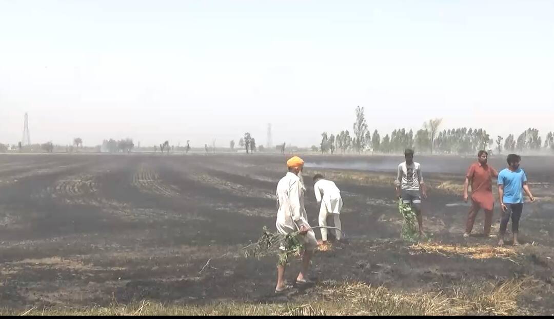 fire in patiala ਵੇਖਦੇ-ਵੇਖਦੇ 300-400 ਏਕੜ 'ਚ ਫੈਲ ਗਈ ਭਿਆਨਕ ਅੱਗ