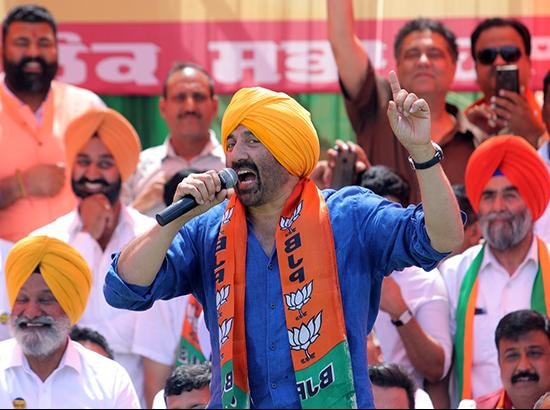 sunny deol filed nomination on another name and now bjp wants to this name on evm ਹੁਣ ਸੰਨੀ ਦਿਓਲ ਦੇ ਨਾਂ 'ਤੇ ਪਿਆ ਪੰਗਾ, ਬੀਜੇਪੀ ਨੂੰ ਲੱਗ ਸਕਦਾ ਝਟਕਾ