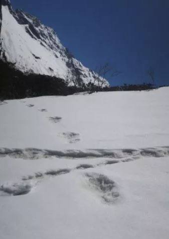 ਫੌਜ ਨੇ ਦਾਅਵਾ ਕੀਤਾ ਹੈ ਕਿ ਉਨ੍ਹਾਂ ਦੇ ਮੋਨੀਟਰਿੰਗ ਐਕਸਪੇਡੀਸ਼ਨ ਟੀਮ ਨੇ 9 ਅਪਰੈਲ ਨੂੰ ਨੇਪਾਲ-ਚੀਨ ਸੀਮਾ ‘ਤੇ ਮੌਜੂਦ ਮਕਾਲੂ ਬੇਸ ਕੈਂਪ ਕੋਲ ‘ਯੇਤੀ’ ਦੇ ਰਹੱਸਮਈ ਪੈਰਾਂ ਦੇ ਨਿਸ਼ਾਨ ਦੇਖੇ ਹਨ।