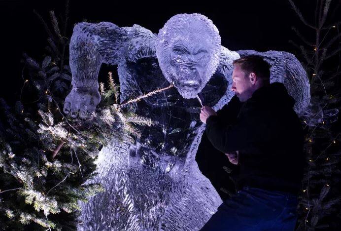 ਕਿਹਾ ਜਾ ਰਿਹਾ ਹੈ ਕਿ ਹੁਣ ਵਿਗਿਆਨੀ ਸੈਨਾ ਦੇ ਇਸ ਦਾਅਵੇ ਦੀ ਜਾਂਚ ਪੜਤਾਲ ਕਰਨਗੇ।