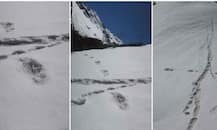 ਭਾਰਤੀ ਫੌਜ ਵੱਲੋਂ ਹਿਮ ਮਾਨਵ \'ਯੇਤੀ\' ਹੋਣ ਦਾ ਦਾਅਵਾ, ਆਖ਼ਰ ਕੀ ਹੈ ਇਹ \'ਯੇਤੀ\'?