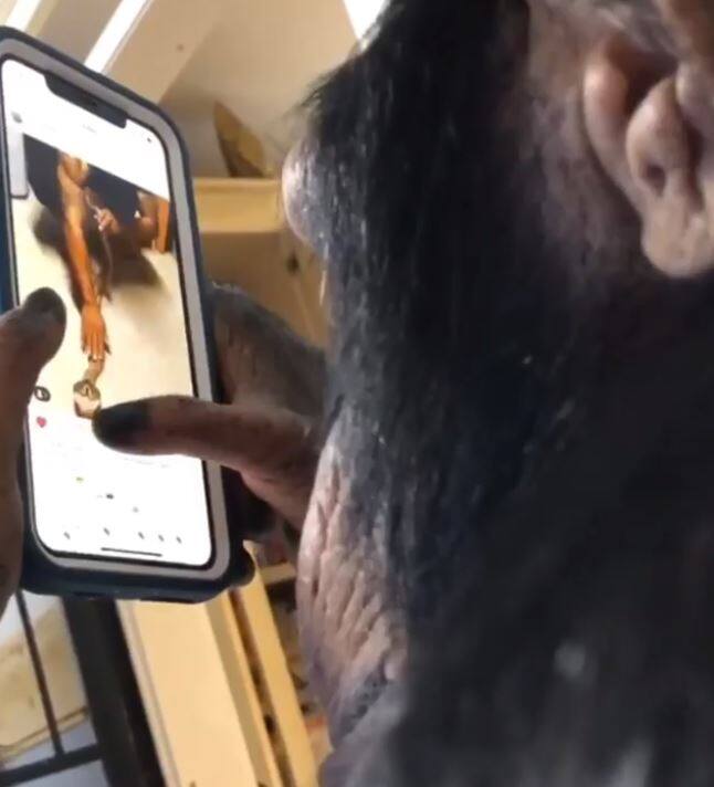 ਇੰਸਟਾਗ੍ਰਾਮ ‘ਤੇ ਇਸ ਵੀਡੀਓ ਨੂੰ 19 ਲੱਖ ਤੋਂ ਜ਼ਿਆਦਾ ਲਾਈਕ ਤੇ 10 ਹਜ਼ਾਰ ਤੋਂ ਜ਼ਿਆਦਾ ਕੁਮੈਂਟ ਮਿਲ ਚੁੱਕੇ ਹਨ।