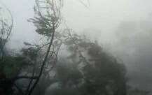 ਪੰਜਾਬ ਸਣੇ ਉੱਤਰੀ ਸੂਬਿਆਂ 'ਚ ਤੂਫਾਨ ਦਾ ਖਤਰਾ! ਮੌਸਮ ਵਿਭਾਗ ਦੀ ਚੇਤਾਵਨੀ