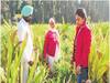 ਖਾਦਾਂ ਤੇ ਕੀਟਨਾਸ਼ਕਾਂ ਬਗੈਰ ਵੀ ਖੇਤੀ ਸੰਭਵ, ਆਖਰ ਔਰਤ ਨੇ ਸਿੱਧ ਕਰ ਹੀ ਵਿਖਾਇਆ