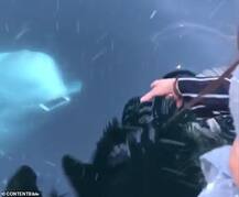 ਇਮਾਨਦਾਰ ਮੱਛੀ! ਪਾਣੀ 'ਚ ਡਿੱਗਿਆ ਮਹਿਲਾ ਦਾ ਫੋਨ ਵਾਪਸ ਮੋੜਿਆ, ਵੀਡੀਓ ਵਾਇਰਲ