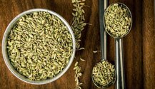Health News : ਕੈਂਸਰ ਜਿਹੀਆਂ ਗੰਭੀਰ ਬਿਮਾਰੀਆਂ ਲਈ ਫ਼ਾਇਦੇਮੰਦ ਹੈ ਸੌਂਫ, ਜਾਣੋ ਇਸ ਦੇ ਗੁਣਾਂ ਬਾਰੇ