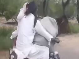 ਮੋਟਰਸਾਈਕਲ 'ਤੇ ਵੱਛੇ ਦੀ ਸਵਾਰੀ, ਸੋਸ਼ਲ ਮੀਡੀਆ 'ਤੇ ਵੀਡੀਓ ਵਾਇਰਲ