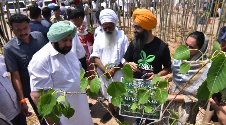 ਗੁਰੂ ਨਾਨਕ ਪਵਿੱਤਰ ਜੰਗਲ ਨੂੰ ਈਕੋਸਿੱਖ ਸੰਸਥਾ ਬਹੁਤ ਹੀ ਘੱਟ ਖੇਤਰਫਲ ਭਾਵ ਮਹਿਜ਼ 300 ਗਜ਼ ਵਿੱਚ ਤਿਆਰ ਕਰਦੀ ਹੈ।