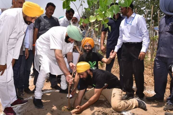 ਇਸ ਜੰਗਲ ਵਿੱਚ ਭਾਂਤ-ਭਾਂਤ ਦੇ ਬੂਟੇ ਲਾਏ ਜਾਂਦੇ ਹਨ, ਜੋ ਵੱਡੇ ਹੋ ਕੇ ਛੋਟੇ ਜੰਗਲ ਦਾ ਰੂਪ ਲੈ ਲੈਂਦੇ ਹਨ ਤੇ ਵਾਤਾਵਰਨ ਨੂੰ ਸ਼ੁੱਧ ਕਰਨ ਵਿੱਚ ਬੇਹੱਦ ਸਹਾਈ ਹੁੰਦੇ ਹਨ।