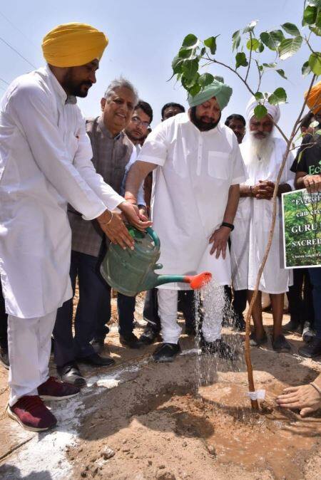 ਇਹ ਜੰਗਲ ਜਾਪਾਨ ਦੀ ਮੀਆਵਾਕੀ ਤਕਨੀਕ ਤੋਂ ਸੇਧ ਲੈ ਕੇ ਤਿਆਰ ਕੀਤੇ ਜਾਂਦੇ ਹਨ।