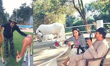 ਗੁਰਦਾਸਪੁਰ ਤੋਂ ਮੁੜਨ ਮਗਰੋਂ ਖੇਤਾਂ ਦਾ ਪੁੱਤ ਬਣੇ ਧਰਮਿੰਦਰ, ਇੰਸਟਾਗ੍ਰਾਮ \'ਤੇ ਖੇਤਾਂ ਦੀ ਵੀਡੀਓ ਸ਼ੇਅਰ