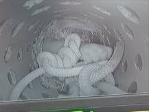 ਬੋਰਵੈੱਲ \'ਚ ਡਿੱਗੇ ਫਤਹਿਵੀਰ ਦੀਆਂ ਤਾਜ਼ਾ ਤਸਵੀਰਾਂ ਆਈਆਂ ਸਾਹਮਣੇ, ਹੱਥਾਂ ਤੋਂ ਸੋਜ਼ਿਸ਼ ਲੱਥੀ