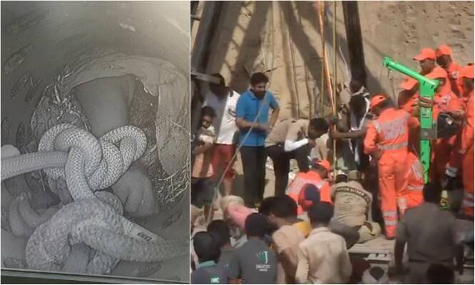 ਚਾਰ ਰਾਤਾਂ ਤੋਂ ਬਾਅਦ ਪੰਜਵਾਂ ਦਿਨ ਵੀ ਚੜ੍ਹਿਆ, ਫ਼ਤਹਿ ਨੂੰ ਬਾਹਰ ਕੱਢਣ 'ਚ ਲੱਗੇਗਾ ਕੁਝ ਹੋਰ ਸਮਾਂ fatehveer singh rescue operation may get delayed as ndrf does not have proper equipment ਚਾਰ ਰਾਤਾਂ ਤੋਂ ਬਾਅਦ ਪੰਜਵਾਂ ਦਿਨ ਵੀ ਚੜ੍ਹਿਆ, ਫ਼ਤਹਿ ਨੂੰ ਬਾਹਰ ਕੱਢਣ 'ਚ ਲੱਗੇਗਾ ਕੁਝ ਹੋਰ ਸਮਾਂ