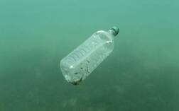 ਹੈਰਾਨੀਜਨਕ! ਹਰ ਹਫਤੇ ਤੁਹਾਡੇ ਅੰਦਰ ਜਾ ਰਹੀ ਇੱਕ ਕ੍ਰੈਡਿਟ ਕਾਰਡ ਜਿੰਨੀ ਪਲਾਸਟਿਕ