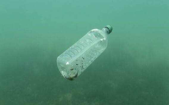 ਹੈਰਾਨੀਜਨਕ! ਹਰ ਹਫਤੇ ਤੁਹਾਡੇ ਅੰਦਰ ਜਾ ਰਹੀ ਇੱਕ ਕ੍ਰੈਡਿਟ ਕਾਰਡ ਜਿੰਨੀ ਪਲਾਸਟਿਕ