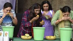 ਅੰਬ ਖਾ ਰਹੇ ਹੋ ਤਾਂ ਗਿੱਟਕਾਂ ਨਾ ਸੁੱਟੋ, ਪੜ੍ਹੋ ਖੇਤੀ ਮਾਹਰਾਂ ਦੀ ਅਪੀਲ