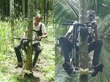 ਕਿਸਾਨ ਨੇ ਕੀਤਾ ਚਮਤਕਾਰ, ਦਰਖ਼ਤਾਂ \'ਤੇ ਫਰਾਟੇ ਮਾਰਨ ਵਾਲਾ ਮੋਟਰਸਾਈਕਲ ਬਣਾਇਆ