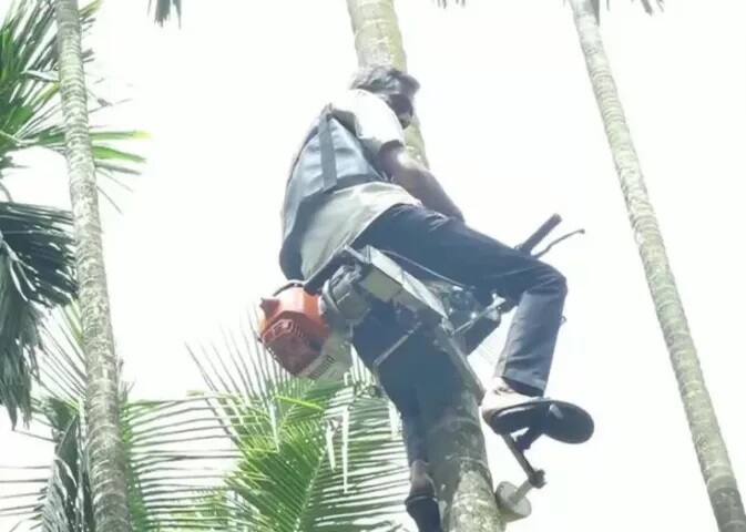 ਬਾਈਕ ਪੈਟਰੋਲ ਨਾਲ ਚੱਲਦੀ ਹੈ। ਇਸ ਵਿੱਚ ਆਮ ਮੋਟਰਸਾਈਕਲ ਵਾਂਗ ਕਲੱਚ ਤੇ ਬ੍ਰੇਕ ਦੀ ਸਹੂਲਤ ਹੈ। ਇਸ ਦੀ ਸਭ ਤੋਂ ਖ਼ਾਸ ਗੱਲ ਇਹ ਹੈ ਕਿ ਇਹ ਇੱਕ ਲੀਟਰ ਤੇਲ ਵਿੱਚ ਲਗਪਗ 80 ਵੱਡੇ ਰੁੱਖਾਂ 'ਤੇ ਚੜ੍ਹ ਸਕਦੀ ਹੈ।