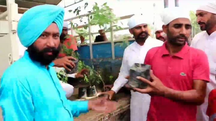 ਸੰਗਰੂਰ: ਬੋਰਵੈੱਲ ਵਿੱਚ ਡਿੱਗਣ ਨਾਲ ਦੋ ਸਾਲਾਂ ਦੇ ਫ਼ਤਹਿਵੀਰ ਸਿੰਘ ਦੀ ਦਰਦਨਾਕ ਮੌਤ ਤੋਂ ਬਾਅਦ ਸਮਾਜ ਸੇਵੀ ਸੰਸਥਾਵਾਂ ਮਾਸੂਮ ਦੀ ਯਾਦ ਵਿੱਚ ਬੂਟੇ ਵੰਡ ਰਹੀਆਂ ਹਨ। ਵਾਤਾਵਰਨ ਨੂੰ ਬਚਾਉਣ ਲਈ ਫ਼ਤਹਿਵੀਰ ਦੇ ਨਾਂ 'ਤੇ ਹਰਿਆਵਲ ਲਹਿਰ ਚਲਾਈ ਜਾ ਰਹੀ ਹੈ।