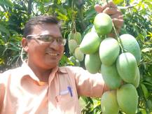 ਇਜ਼ਰਾਈਲੀ ਤਕਨੀਕ ਅਪਣਾ ਕਿਸਾਨ ਨੇ ਤੋੜੇ ਪੈਦਾਵਾਰ ਦੇ ਰਿਕਾਰਡ, 10 ਏਕੜ \'ਚੋਂ 30 ਟਨ ਝਾੜ