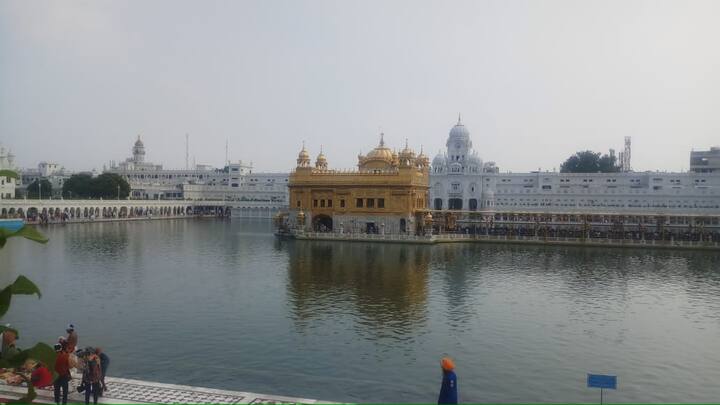 ਦਰਬਾਰ ਸਾਹਿਬ ਦੀ ਪਰਿਕਰਮਾ ਦੇ ਚਾਰੇ ਪਾਸੇ ਛੱਤਾਂ ਦੇ ਉੱਪਰ ਸ਼੍ਰੋਮਣੀ ਗੁਰਦੁਆਰਾ ਪ੍ਰਬੰਧਕ ਕਮੇਟੀ ਵੱਲੋਂ ਪੌਦੇ ਲਗਾਏ ਜਾ ਰਹੇ ਹਨ। ਦਰਬਾਰ ਸਾਹਿਬ ਤੋਂ ਇਲਾਵਾ ਸ਼੍ਰੋਮਣੀ ਕਮੇਟੀ ਐਸਜੀਪੀਸੀ ਦੇ ਅਧੀਨ ਆਉਂਦੀਆਂ ਸਰਾਵਾਂ ਦੀਆਂ ਛੱਤਾਂ ਤੇ ਵੀ ਅਜਿਹੇ ਖੁਸ਼ਬੂਦਾਰ ਬਾਗ਼ ਬਣਾਉਣ ਜਾ ਰਹੀ ਹੈ, ਜੋ ਆਲੇ-ਦੁਆਲੇ ਨੂੰ ਮਹਿਕਦਾਰ ਬਣਾਉਣਗੇ। ਇੱਥੇ ਕਮੇਟੀ ਵੇਲਾਂ ਵੀ ਲਗਾਏਗੀ।