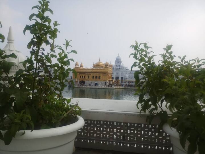 ਇਸ ਕੰਮ ਵਿੱਚ ਮਦਦ ਲਈ ਸ਼੍ਰੋਮਣੀ ਕਮੇਟੀ ਵੱਲੋਂ ਖੇਤੀਬਾੜੀ ਯੂਨੀਵਰਸਿਟੀ, ਲੁਧਿਆਣਾ ਦੇ ਮਾਹਰਾਂ ਵੀ ਸੰਪਰਕ ਕੀਤਾ ਜਾ ਰਿਹਾ ਹੈ ਤੇ ਉਨ੍ਹਾਂ ਦੀ ਰਾਏ ਵੀ ਲਈ ਜਾ ਰਹੀ ਹੈ ਨਾਲ ਹੀ ਬਾਗ਼ਬਾਨੀ ਮਾਹਰਾਂ ਦੀ ਵੀ ਰਾਏ ਲਈ ਜਾ ਰਹੀ ਹੈ। ਜਾਣਕਾਰੀ ਮੁਤਾਬਕ ਇਨ੍ਹਾਂ ਪੌਦਿਆਂ ਨੂੰ ਲੱਗਣ ਵਾਲੇ ਫੁੱਲ ਇੱਕੋ ਹੀ ਤਰ੍ਹਾਂ ਦੇ ਹੋਣਗੇ ਜੋ ਦਿਲਕਸ਼ ਨਜ਼ਾਰਾ ਪੇਸ਼ ਕਰਨਗੇ।