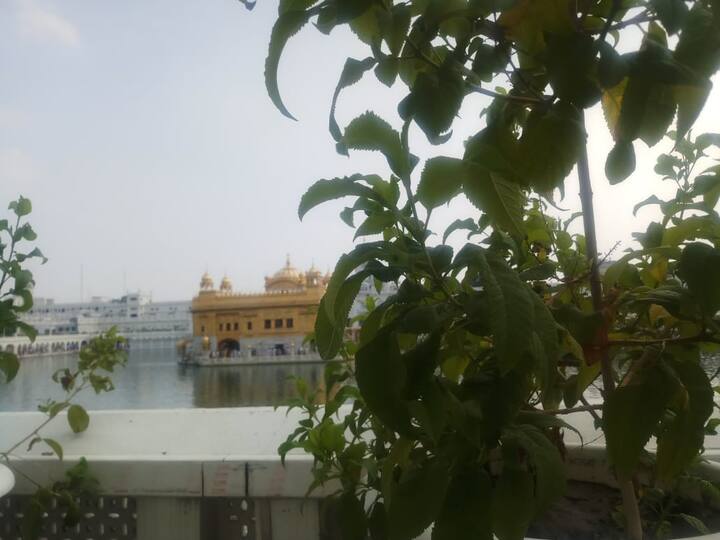 ਐਸਜੀਪੀਸੀ ਵੱਲੋਂ ਪਹਿਲਾਂ ਹੀ ਦਰਬਾਰ ਸਾਹਿਬ ਕੰਪਲੈਕਸ ਦੇ ਕਈ ਥਾਵਾਂ ਤੇ ਵਰਟੀਕਲ ਗਾਰਡਨ ਲਗਾ ਕੇ ਹਜ਼ਾਰਾਂ ਦੀ ਗਿਣਤੀ ਵਿੱਚ ਪੌਦੇ ਲਗਾਏ ਗਏ ਹਨ ਦੂਸਰੇ ਪਾਸੇ ਸੰਗਤਾਂ ਦੇ ਵਿੱਚ ਇਸ ਉਪਰਾਲੇ ਨੂੰ ਲੈ ਕੇ ਕਾਫੀ ਖੁਸ਼ੀ ਹੈ ਅਤੇ ਉਨ੍ਹਾਂ ਦਾ ਕਹਿਣਾ ਹੈ ਕਿ ਇਹ ਐੱਸਜੀਪੀਸੀ ਦਾ ਵਧੀਆ ਉਪਰਾਲਾ ਹੈ।