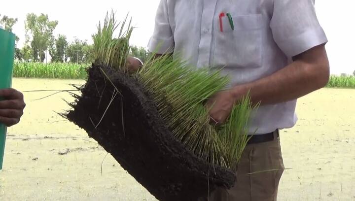 ਉੱਧਰ ਖੇਤੀਬਾੜੀ ਅਧਿਕਾਰੀਆਂ ਨੇ ਵੀ ਇਸ ਮਸ਼ੀਨ ਨੂੰ ਕਿਸਾਨਾਂ ਲਈ ਫਾਇਦੇਮੰਦ ਦੱਸਿਆ ਹੈ।