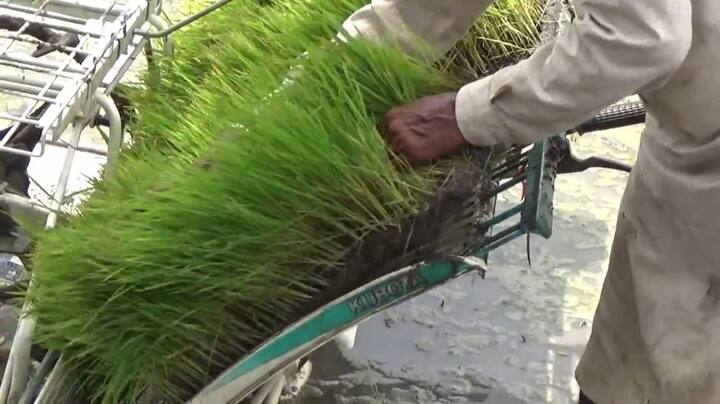 ਹੁਣ ਇਸ ਖ਼ਰਚ ਤੋਂ ਬਚਣ ਲਈ ਬਰਨਾਲਾ ਦੇ ਕਿਸਾਨ ਨੇ ਮਸ਼ੀਨ ਨਾਲ ਝੋਨੇ ਦੀ ਬਿਜਾਈ ਕੀਤੀ। ਇਸ ਤਕਨੀਕ ਨਾਲ ਉਨ੍ਹਾਂ ਦਾ ਕਾਫੀ ਖ਼ਰਚਾ ਬਚਿਆ। 