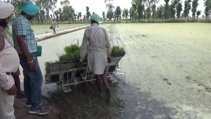  ਸਭ ਤੋਂ ਵੱਡੀ ਗੱਲ ਇਹ ਹੈ ਕਿ ਜਿੱਥੇ ਪਹਿਲਾਂ ਇੱਕ ਏਕੜ ਬਿਜਾਈ ਲਈ 3000 ਰੁਪਏ ਦੀ ਲੇਬਰ ਪੈਂਦੀ ਸੀ, ਹੁਣ ਮਸ਼ੀਨ ਨਾਲ ਸਾਰੇ ਖ਼ਰਚੇ ਮਿਲਾ ਕੇ ਵੀ ਮਹਿਜ਼ 200 ਰੁਪਏ ਦਾ ਖ਼ਰਚਾ ਆਉਂਦਾ ਹੈ। ਬਿਜਾਈ ਵੀ ਚੰਗੀ ਤੇ ਸਮਾਂ ਵੀ ਘੱਟ।