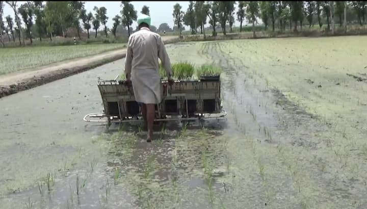ਇਸ ਤੋਂ ਇਲਾਵਾ ਇਸ ਦੀ ਬਿਜਾਈ ਨਾਲ ਫਸਲ ਦੀ ਬਿਜਾਈ ਵੀ ਕਾਫੀ ਚੰਗੀ ਹੁੰਦੀ ਹੈ। 