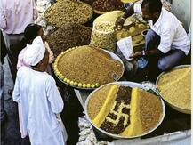 ਸਾਉਣੀ ਦੀਆਂ ਫਸਲਾਂ ਬਾਰੇ ਮੋਦੀ ਦਾ ਕਿਸਾਨਾਂ ਨੂੰ ਵੱਡਾ ਤੋਹਫਾ