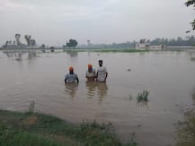 ਨਹਿਰ ਟੁੱਟਣ ਨਾਲ ਸੈਂਕੜੇ ਏਕੜ ਫਸਲ ਬਰਬਾਦ, ਵੇਖੋ ਤਸਵੀਰਾਂ