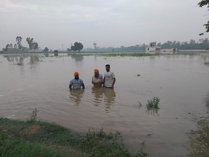 ਤਰਨ ਤਾਰਨ: ਪਿੰਡ ਸ਼ਹਾਬਪੁਰ ਵਿੱਚ ਕਈ ਸਾਲਾਂ ਤੋਂ ਨਹਿਰ ਦੀ ਸਫਾਈ ਨਾ ਹੋਣ ਕਰਕੇ ਅੱਜ ਨਹਿਰ ਟੁੱਟ ਗਈ। 
