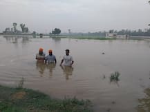 ਨਹਿਰ ਟੁੱਟਣ ਨਾਲ ਸੈਂਕੜੇ ਏਕੜ ਫਸਲ ਬਰਬਾਦ, ਵੇਖੋ ਤਸਵੀਰਾਂ