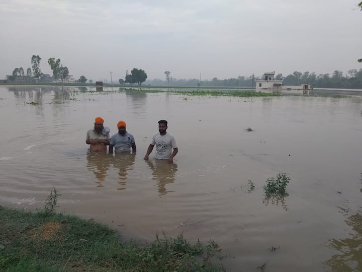 ਨਹਿਰ ਦੇ ਪਾਣੀ ਨਾਲ ਕਿਸਾਨਾਂ ਦੀ ਸੈਂਕੜੇ ਏਕੜ ਫਸਲ ਬਰਬਾਦ ਹੋ ਗਈ। ਇਸ ਨਾਲ ਹੀ ਲੋਕਾਂ ਦੇ ਘਰਾਂ ਵਿੱਚ ਵੀ 3-4 ਫੁੱਟ ਤਕ ਪਾਣੀ ਭਰ ਗਿਆ। 