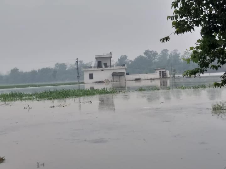 ਪਿੰਡ ਵਾਸੀਆਂ ਸਰਕਾਰ ਕੋਲੋਂ ਬਰਬਾਦ ਹੋਈ ਫਸਲ ਦੇ ਮੁਆਵਜ਼ੇ ਦੀ ਮੰਗ ਕੀਤੀ ਹੈ। 