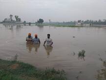 ਨਹਿਰ ਟੁੱਟਣ ਨਾਲ ਸੈਂਕੜੇ ਏਕੜ ਫਸਲ ਬਰਬਾਦ, ਵੇਖੋ ਤਸਵੀਰਾਂ