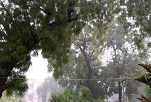 ਬਠਿੰਡਾ \'ਚ ਮਾਨਸੂਨ ਦੀ ਪਹਿਲੀ ਬਰਸਾਤ, ਗਰਮੀ ਤੋਂ ਰਾਹਤ ਪਰ ਜਨ-ਜੀਵਨ \'ਤੇ ਅਸਰ